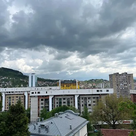 فيلة House